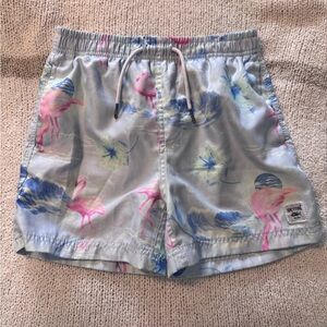Light Blue Flamingo Print Swim Shorts